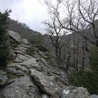 Photo de france - La randonnée du Mont Caroux